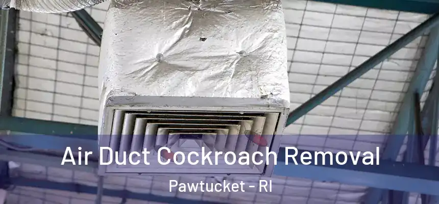 Air Duct Cockroach Removal Pawtucket - RI
