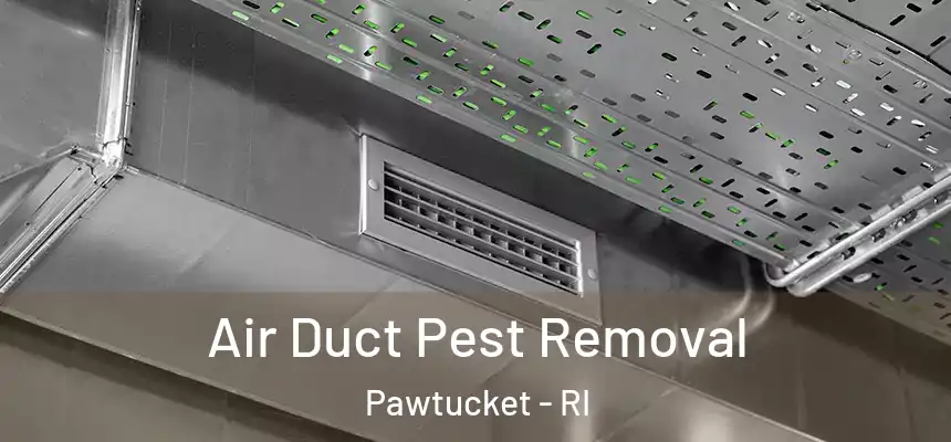 Air Duct Pest Removal Pawtucket - RI