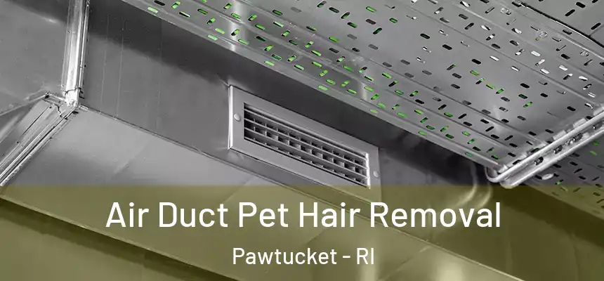 Air Duct Pet Hair Removal Pawtucket - RI