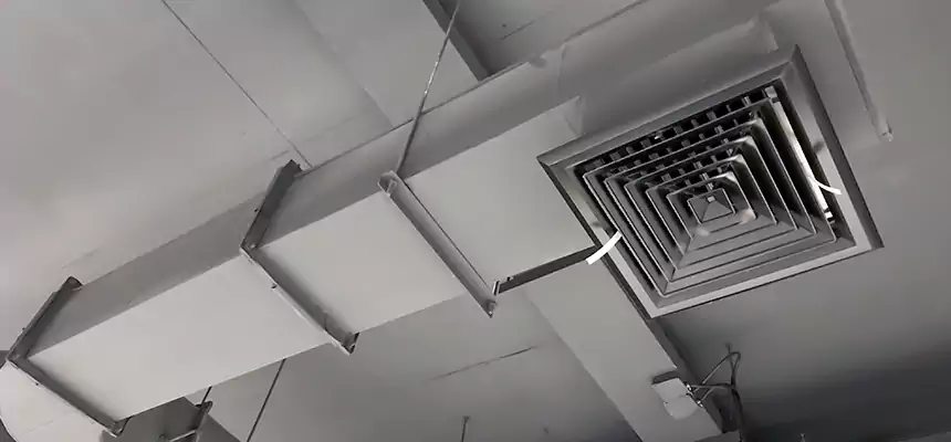 Our Pest Removal From Ducts Services in Pawtucket, RI