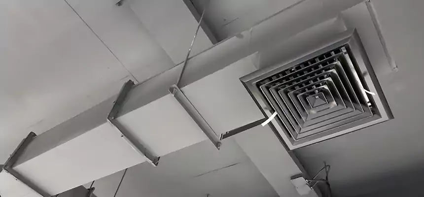 Our Rodent Droppings In Vents Services in Pawtucket, RI