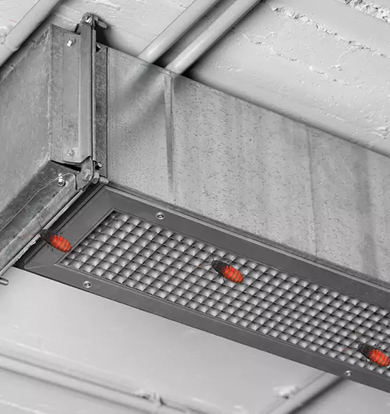 About Air Duct Cockroach Removal in Pawtucket, RI