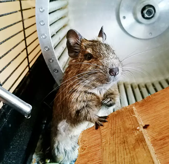 Why Homeowners & Businesses Trust Us Pawtucket, RI